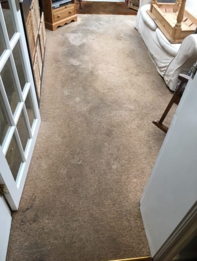 carpet cleaning Fareham Hampshire