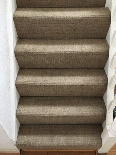 carpet cleaning Fareham Hampshire