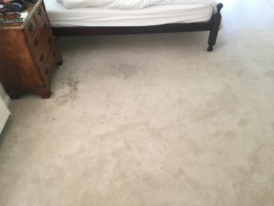 carpet cleaning Fareham Hampshire